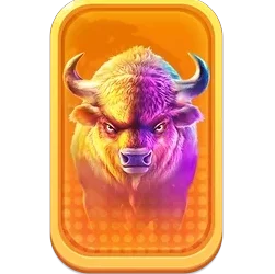 Buffalo
King